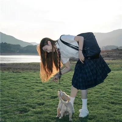 虎侠